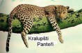 Kralupští Panteři