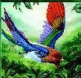 Bohunka is of Paradise - OUT